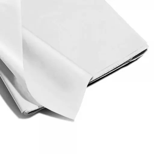 PAPEL SEDA RIDET 48X60CM BRANCO